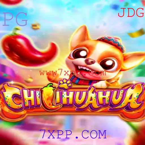 Explorando o Fascinante Jogo CHILIHUAHUA